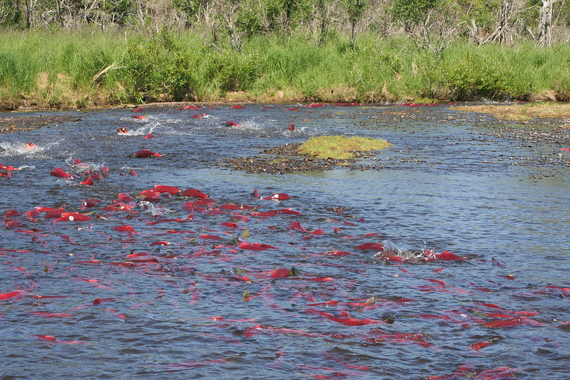 Biden to block Pebble project in Alaska