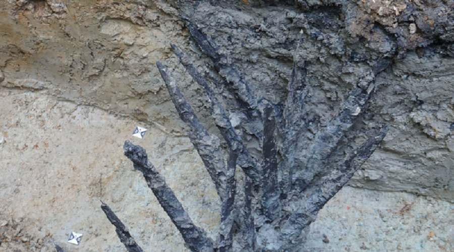 Ancient Romans failed to fully exploit rich silver deposit in Germany