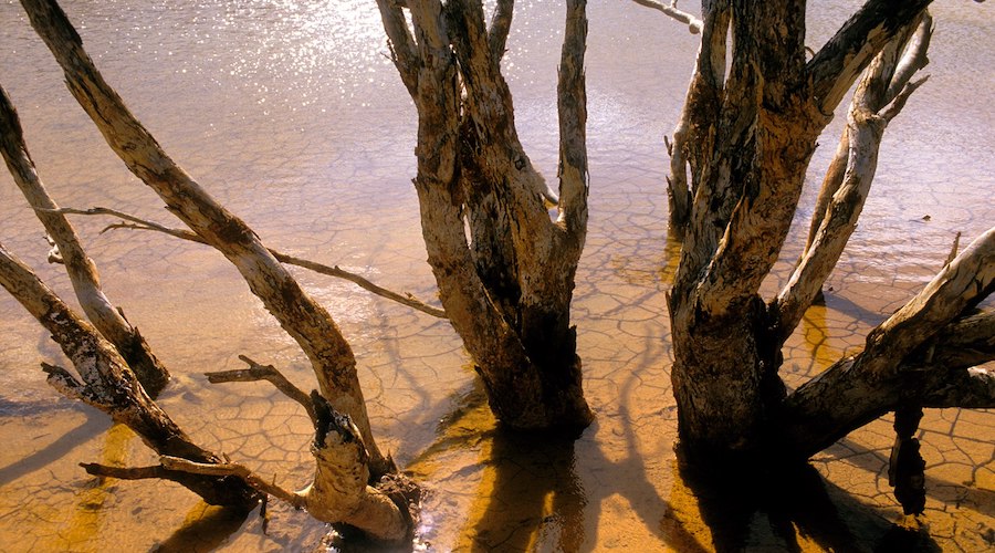 Researchers push for using microbes to recover minerals, store carbon from mine tailings