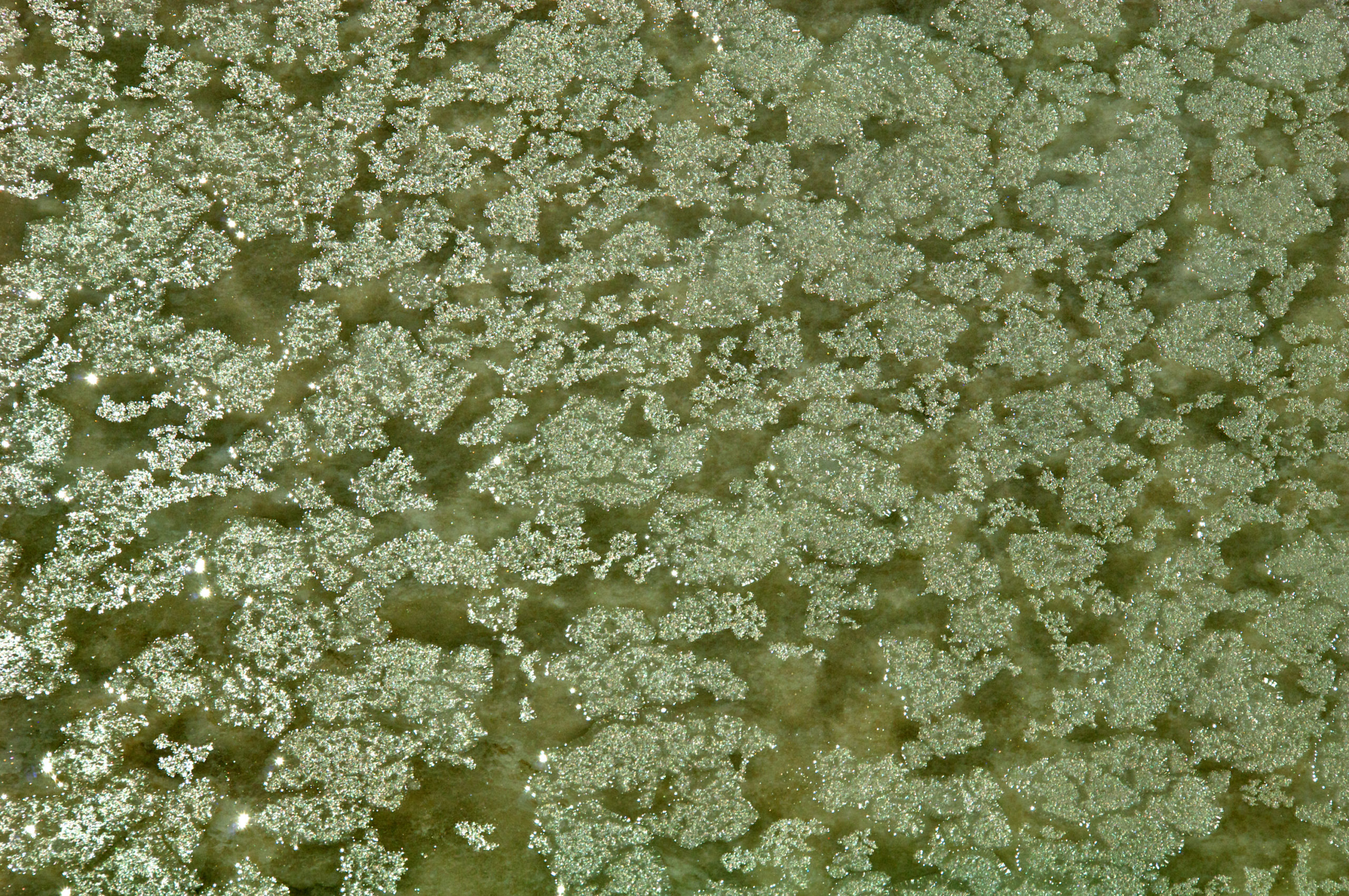 China lithium price poised for further decline in 2024 – analysts