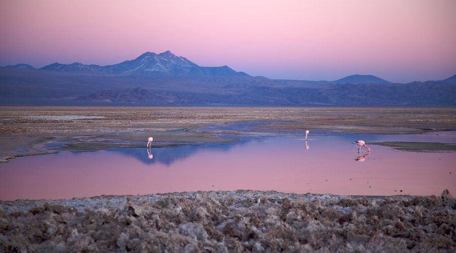 Scientists find two different types of water in lithium-rich salt flats