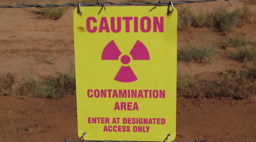 Microbes help deal with uranium in groundwater, spent nuclear fuel repositories