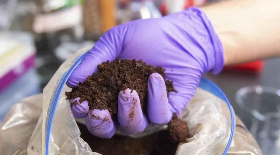 Protein helps separate rare earths more efficiently than new tech