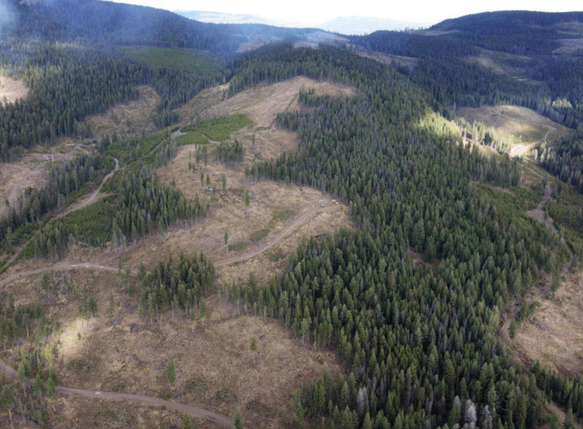 Westhaven Gold PEA gives Shovelnose 534,000-oz output over 9.5-year life