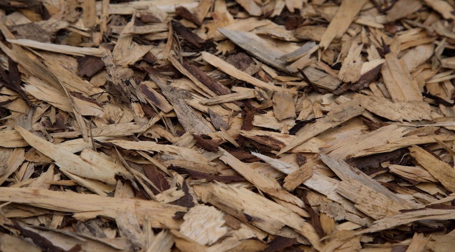 Iron helps produce graphene from wood chips