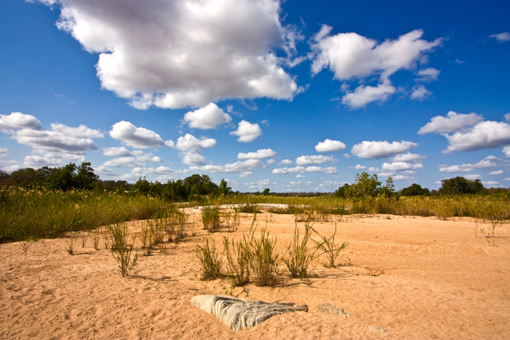 South Africa’s Kruger Park opposes new border link to Mozambique
