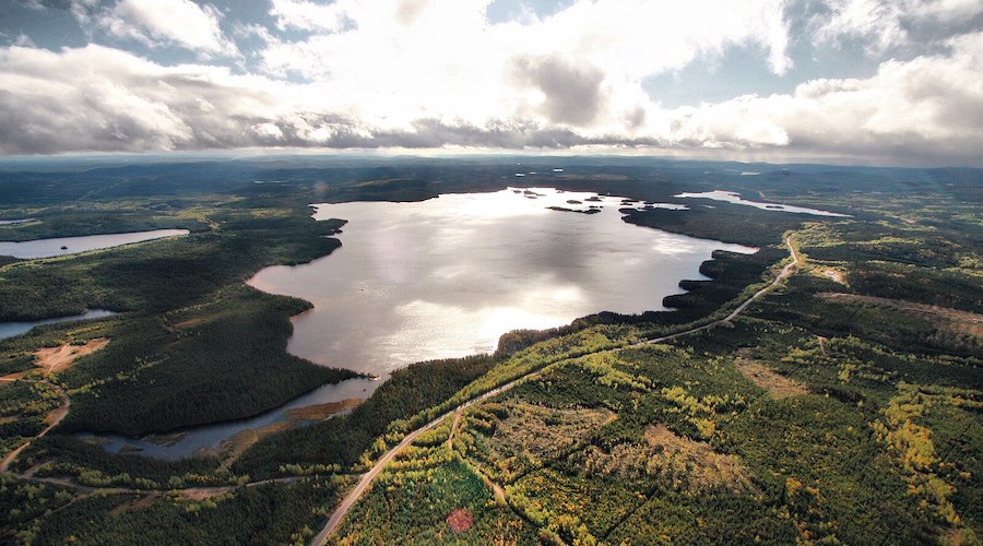 Ecological connectivity can be successfully included in EIAs – study