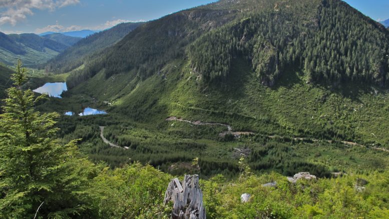 Northisle stock surges to highest in a year on near-surface gold hits