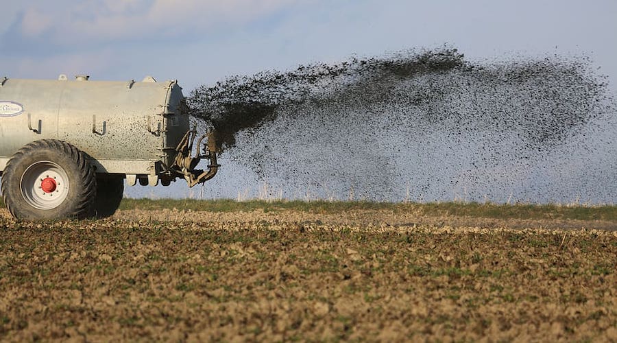Zinc-copper catalyst proposed for cleaner, more efficient fertilizer production