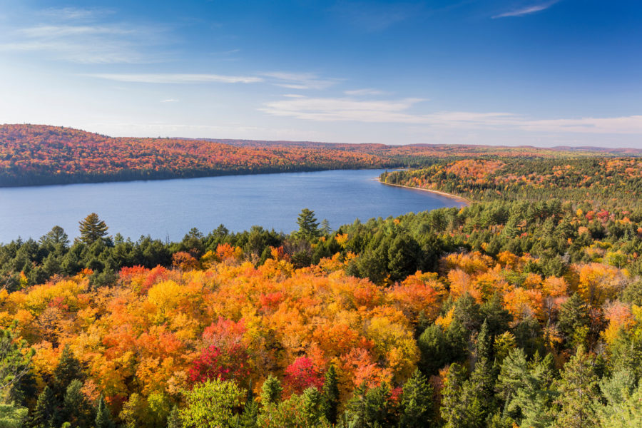Canada court ruling on key environmental law risks deterring investments