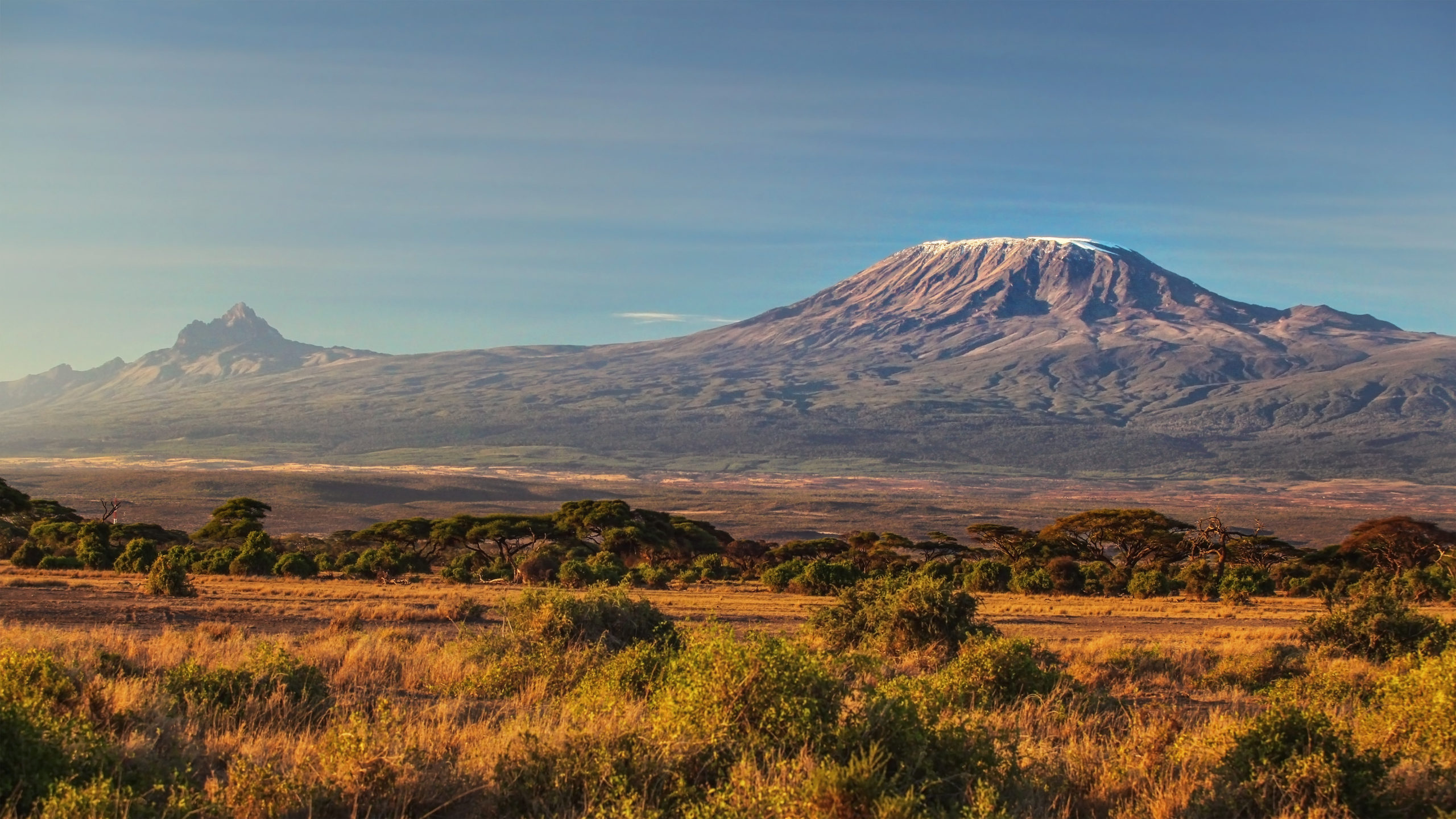 Tanzania plans new $5.6 billion rail to iron ore, coal-rich area