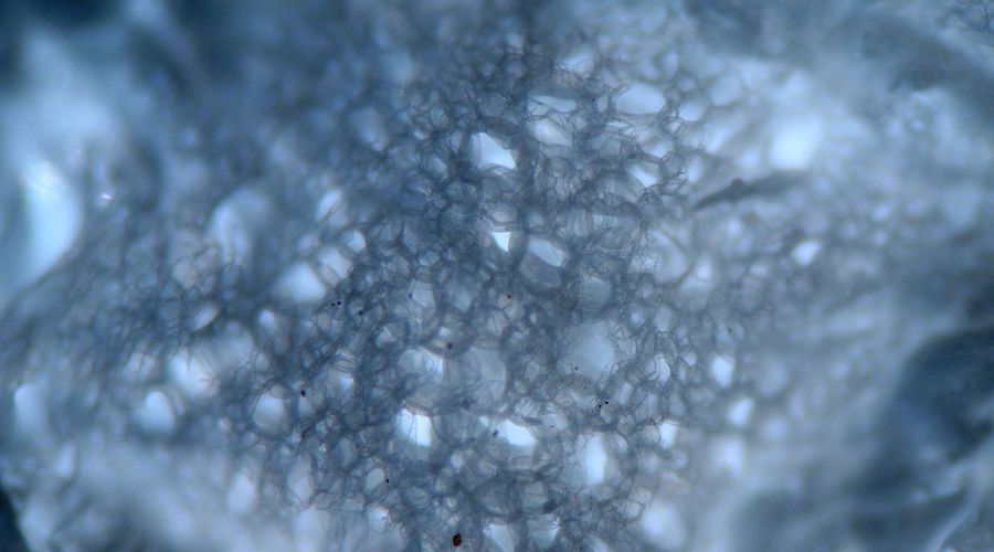 Nickel foam may enhance the performance of lithium-sulphur batteries