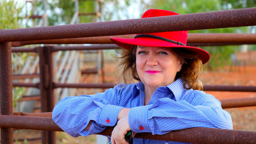 Australian billionaire Gina Rinehart enters rare earths business in Brazil