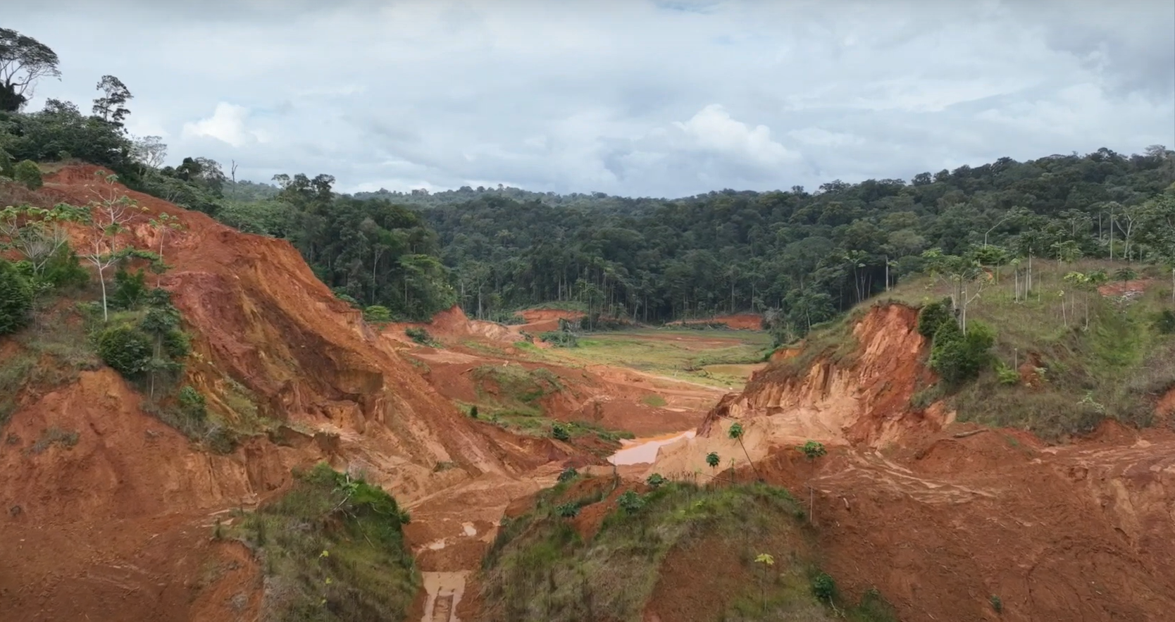 Founders Metals’ high-grade hits hint at Guiana Shield bounty for Antino project in Suriname