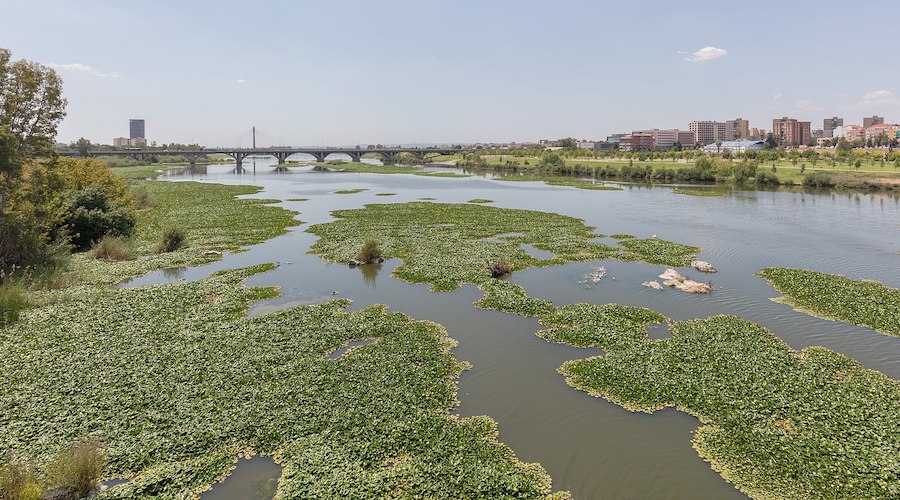 Spanish activist group blasts exploration project in Huelva