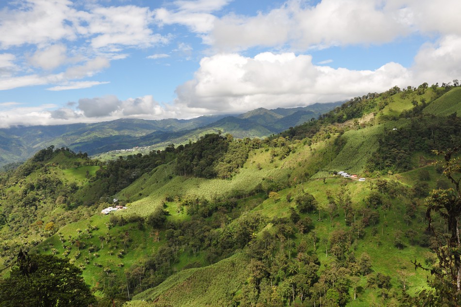 Atico shares surge on long-term extension for La Plata mining concession in Ecuador